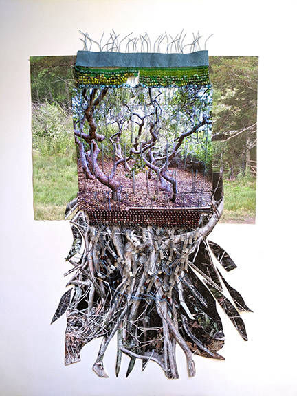 Elfin Forest